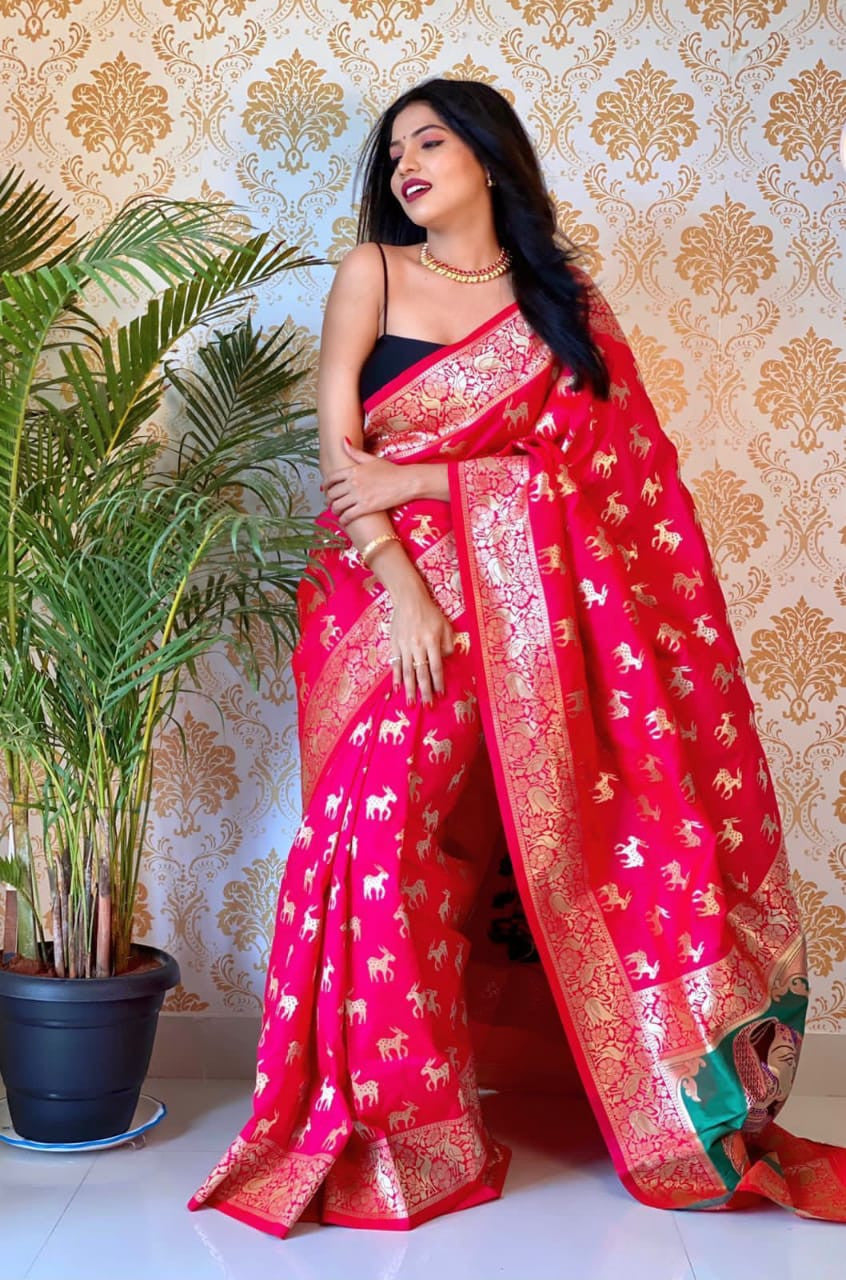 Sarees & Blouses