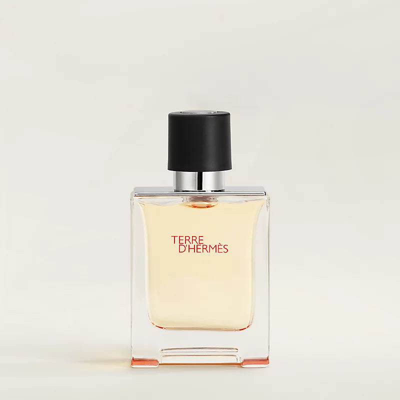 HERMES TERRE D'HERMES Eau de Toilette for Men – PRAAGNEEK