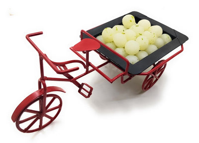 Red & Black Cycle Rickshaw platter - 2.J